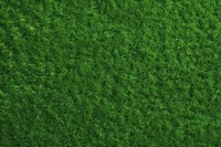 Green grass texture background green outdoors nature.