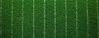 Green grass texture background green field pattern.