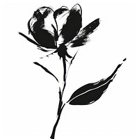 Rose flower illustration strokes black.