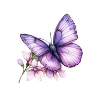 Purple butterfly on flower flowers watercolor art.