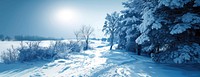 Winter landscape wallpaper nature trees snow.