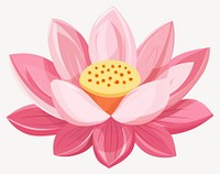 Lotus illustration blossom flower vector