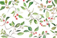 Holly illustration botanical pattern.