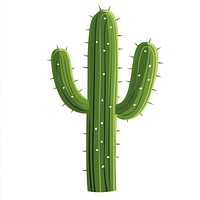 Cactus illustration plant art.