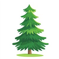 Christmas pine tree illustration plant green.