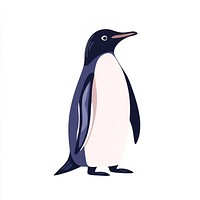 Penguin illustration animal vector.