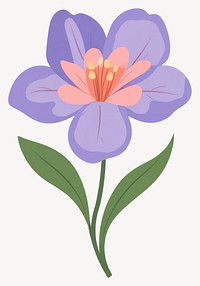 Iris flower illustration blossom vector