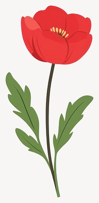 Poppy illustration flower art vector