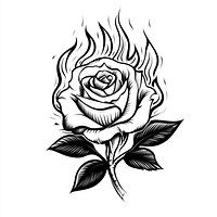 Rose burning with fire tattoo art illustration.