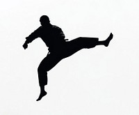 Judo silhouette kick pose.