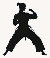 Taekwondo silhouette karate black vector