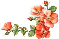 Beautiful floral corner flowers art illustration.