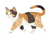 Scottish fold cat walking illustration animal design.