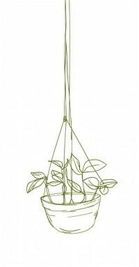 Hanging plant pot illustration sketch green.