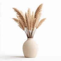 Pampas grass in a vase beige arrangement decorative.