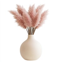 Pink pampas grass in a vase minimalist decoration aesthetic.