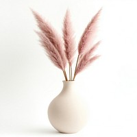 Pink pampas grass in a vase soft minimalist decoration.