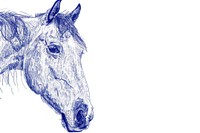 Vintage drawing horse sketch animal blue.