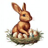 Easter bunny eggs illustration vintage.