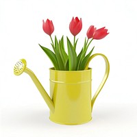 Cute watering can with tulips illustration vibrant flowers.