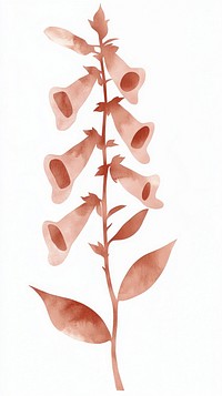 Aesthetic foxgloves flower art illustration plant.