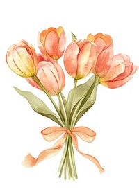 Pastel coquette soft orange tulips bouquet art illustration watercolor.