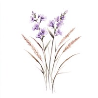 Aesthetic spring Lilac flower flowers art illustration.