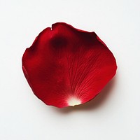 Red rose petal isolated texture single.