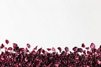 Rose petals arrangement background scattered.