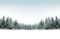 Pine trees with snow scenery nature forest.