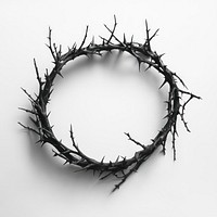 Crown of Thorns thorns crown representation.