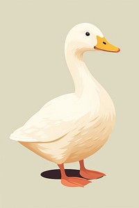 Duck illustration animal bird.