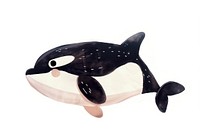 Cute orca illustration animal whale cartoon.