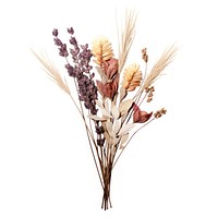 Dried dried flower bunch flowers dried flowers arrangement.