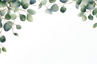 Eucalyptus leaves leaf illustration background.