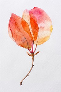 Tiny flower petals watercolor leaf art.