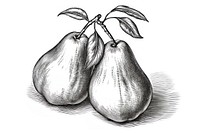 Pears pear drawing sketch.