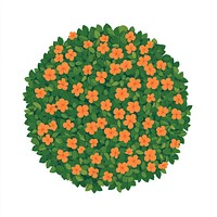 Circular orange flower hedges flowers illustration pattern.