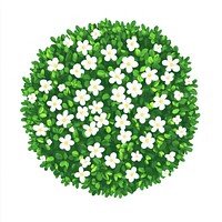 Circular white flower hedges flowers illustration leaves.