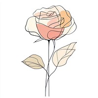 Rose flower drawing line art.