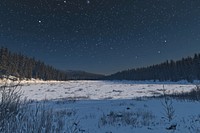 A snow-covered field night sky forest.