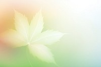 Blurry leaf border aura background abstract gradient.