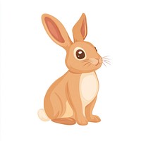 Rabbit illustration animal vector.