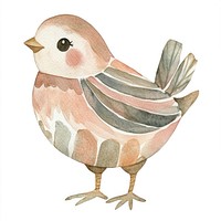 Chick illustration watercolor bird.