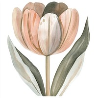 Flower illustration watercolor painting.