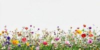 Foreground flower gardens and meadows flowers scenery nature.