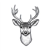 Deer face art illustration wildlife.