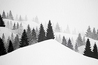 Snow forest view landscapes nature trees vegetation.