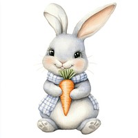 Rabbit sitting holding carrot illustration watercolor animal.