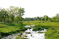 Forest landscape nature scenery natural.